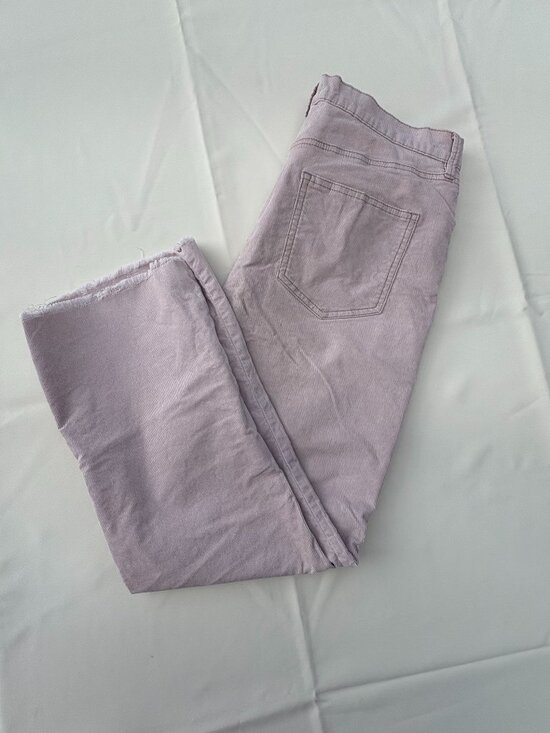 BDG Pants - Pale Pink Corduroy Pants